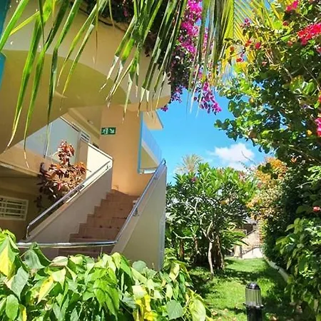 Alsol Don Palomon Apartman