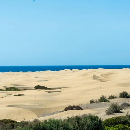 Alsol Don Palomon Апартаменты