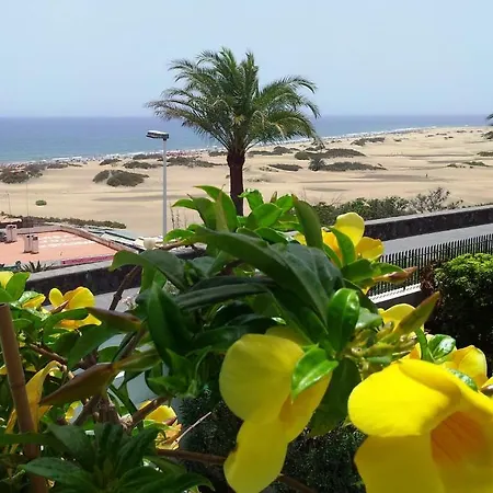 Apartment Alsol Don Palomon Playa del Inglés