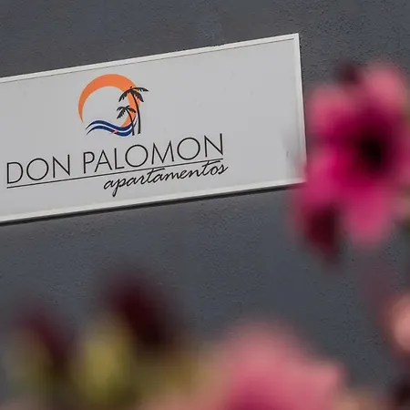 Alsol Don Palomon Apartment Playa del Inglés