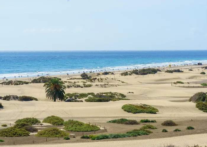 Alsol Don Palomon Playa del Ingles (Gran Canaria)