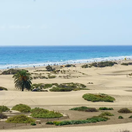 Alsol Don Palomon Playa del Ingles (Gran Canaria)