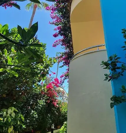 Appartement Alsol Don Palomon *